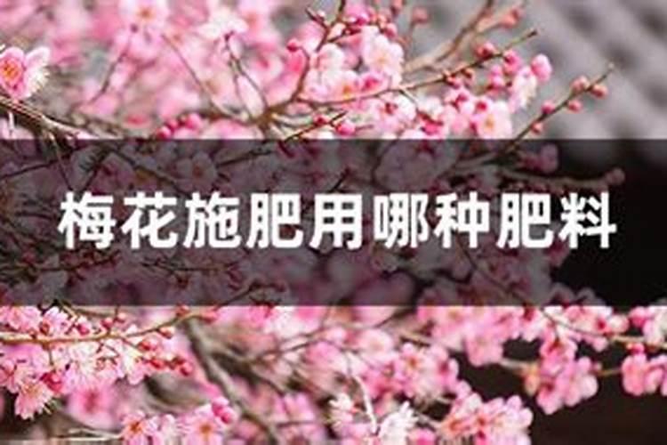 复合肥下雨天用肥效最好