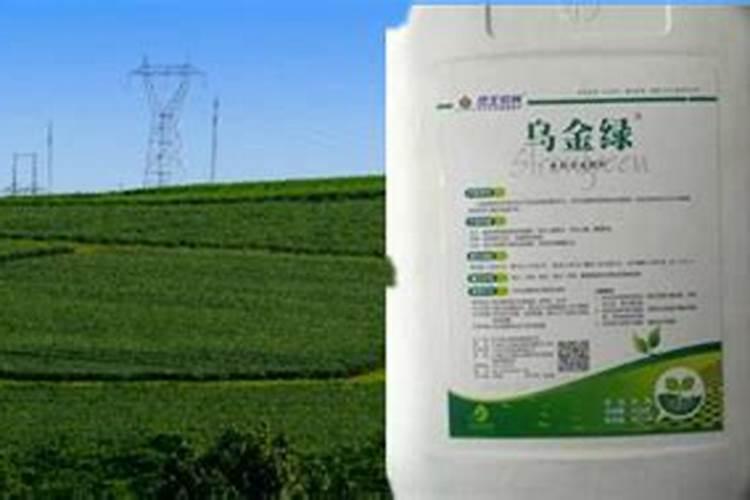 特种肥料和其它肥料有什么区别？