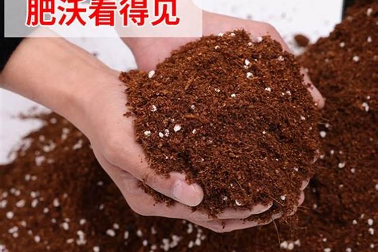 老年人补钾的药物有哪些