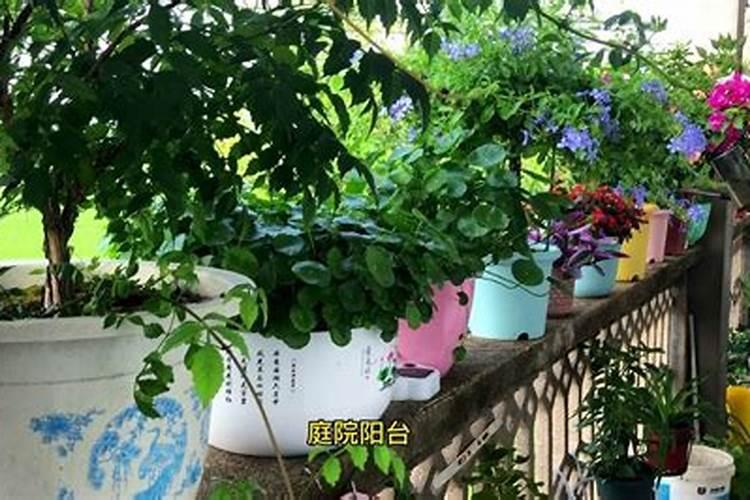 玉米苗后除草加锌肥可以吗？