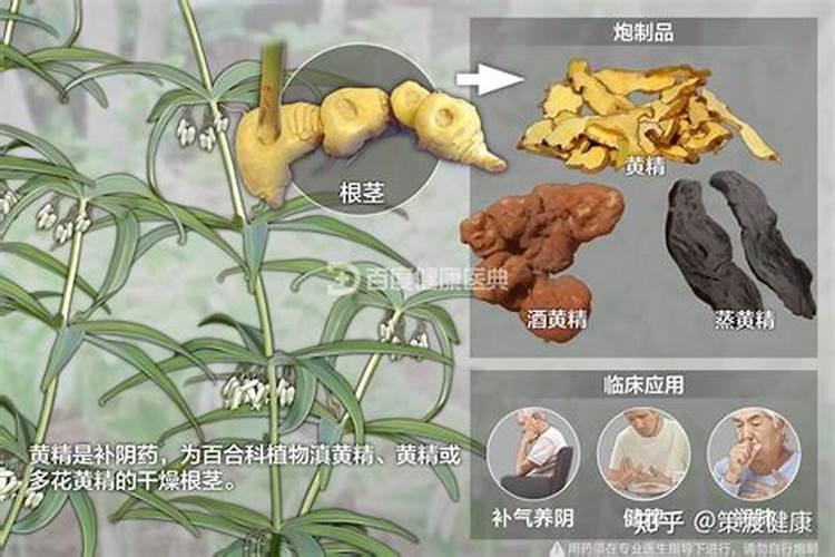 水溶肥排名前十位的有哪些品牌