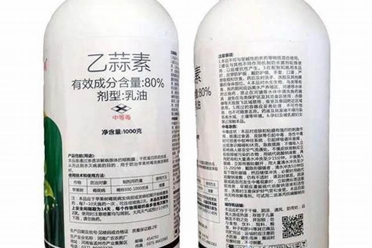 绣球花花后修剪那没有开花的能修剪吗