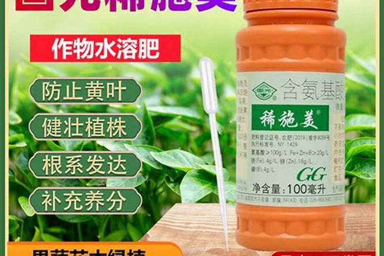 家养芦荟一般施什么肥叶片直挺肥厚
