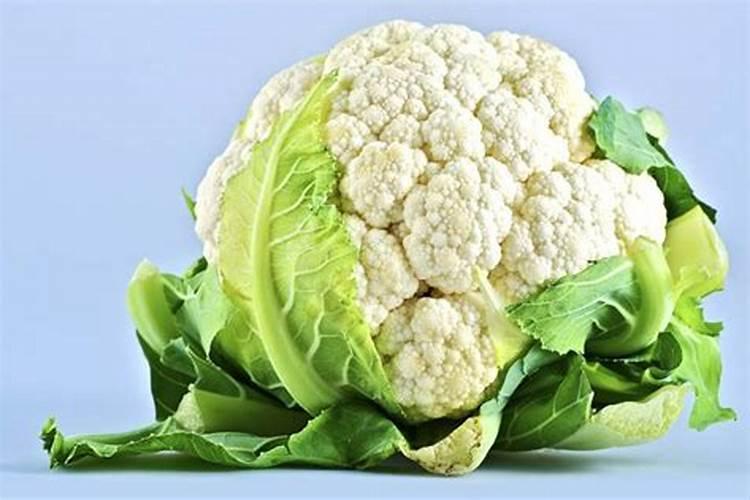 香菇多糖农药主要防治对象