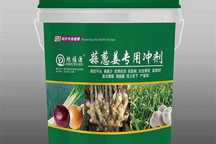 吸财树换土什么时候可以浇水(上盆刚栽上后要浇水吗)