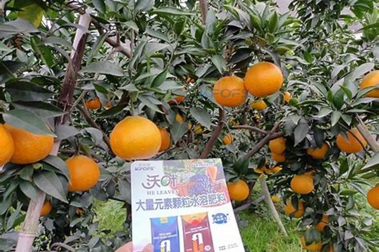 颗粒水溶肥优化作物施肥方案