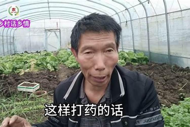 柑橘花芽分化用什么药,柑橘花芽分化对温度的要求