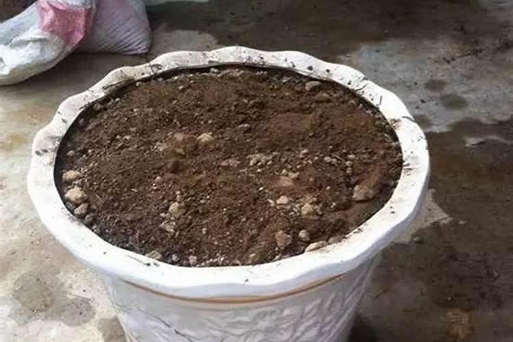 如何制作花肥