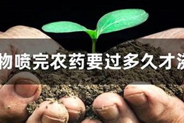 打药和施肥能同时进行吗