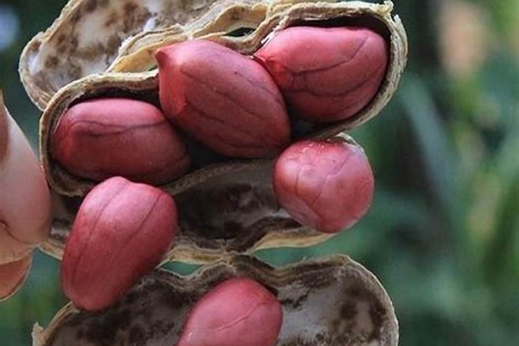 果树秋季施氮肥可以吗