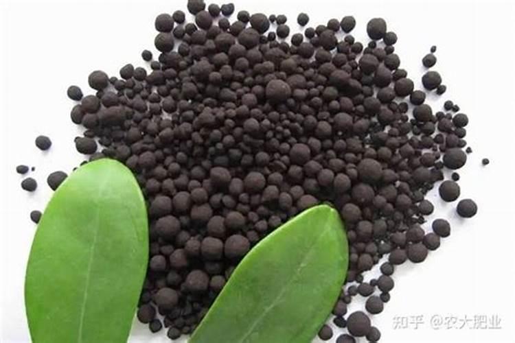 梁羽生最好的作品？  知乎