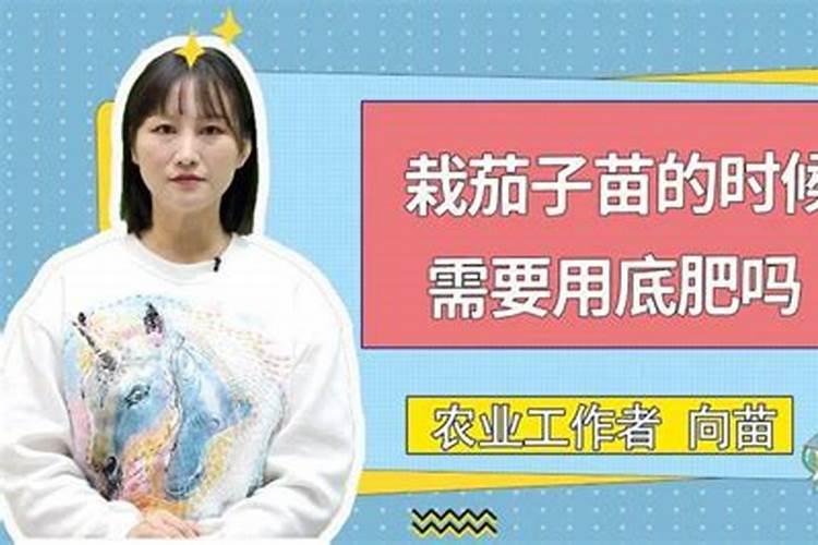 枇杷用什么肥料