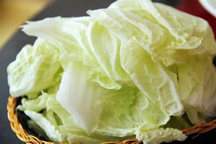 小白菜叶子变黄,没几天就死了,不知道是什么原因
