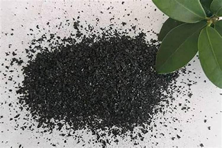 刚换盆的兰花要浇水吗 不妨来看一下
