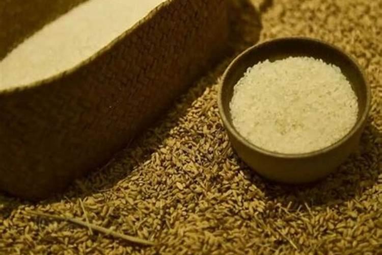 大棚芹菜寒潮来了可以冲施肥料吗