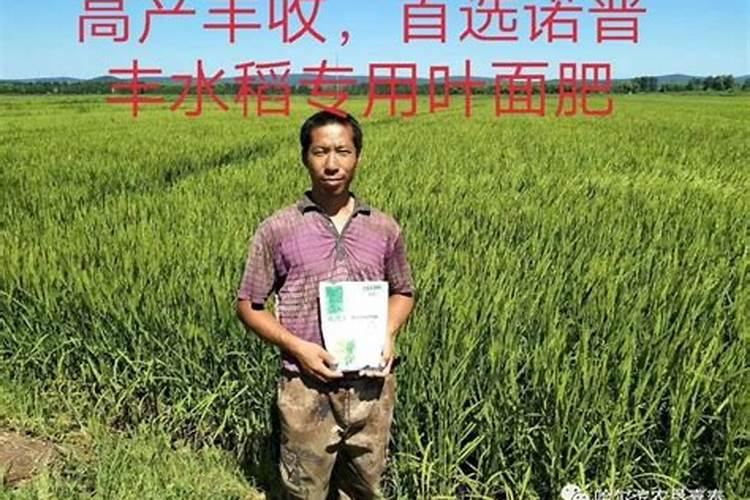 农用硅肥有哪些