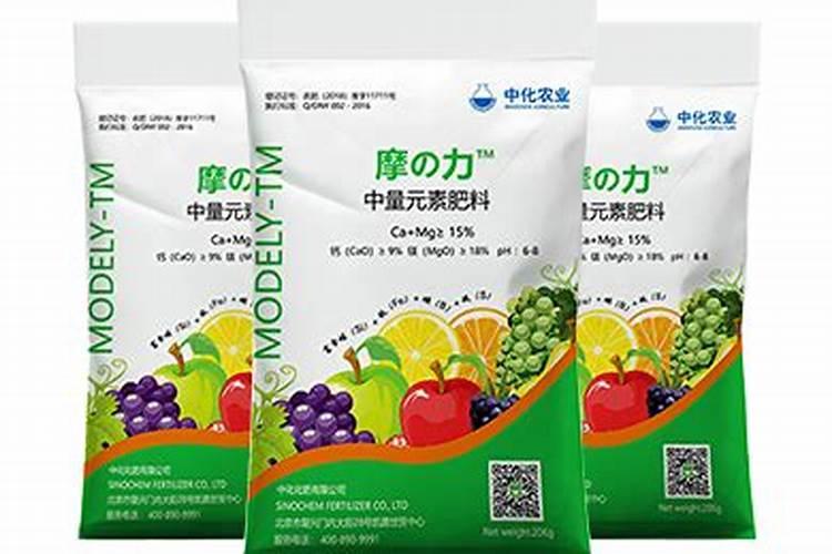芸豆喜欢什么叶面肥