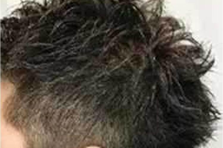 氮肥适合浇什么花