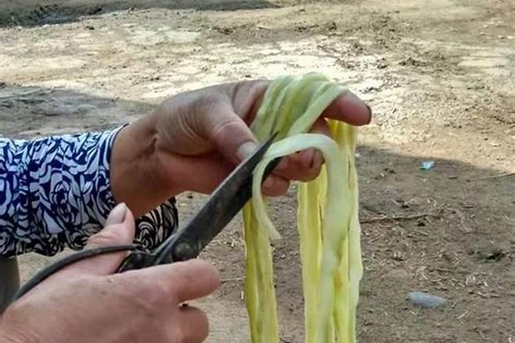 如何不用农药清除地里毛虫青虫？我种了青菜,葫芦,茄子等等尤其小青菜,刚...