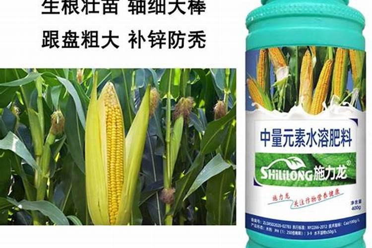 玉米的锌肥什么时候用堉产潜力大