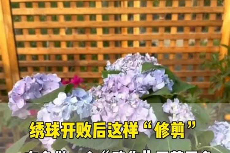 用生石灰消毒注意事项