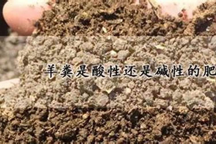 芝麻饼肥是酸性还是碱性