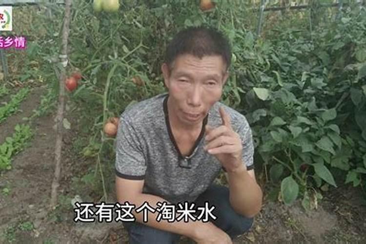 苦瓜泡水的功效与作用