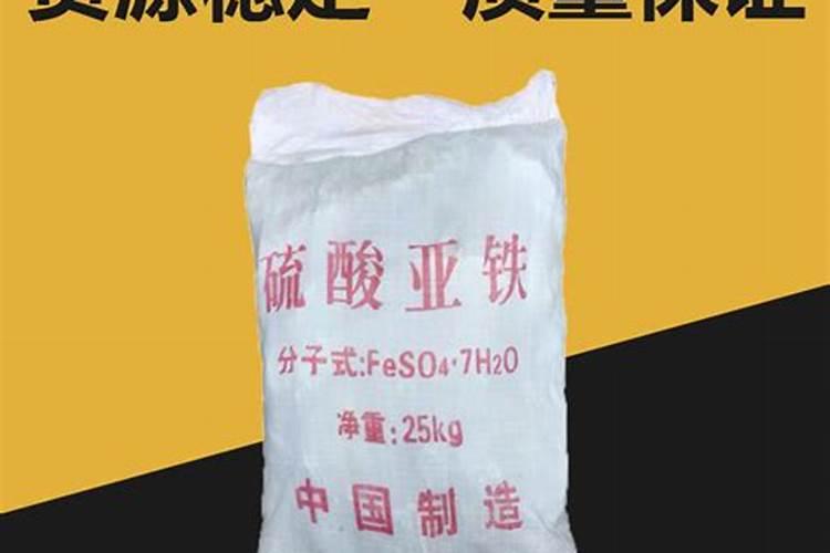 黄皮树什么时候崔花？