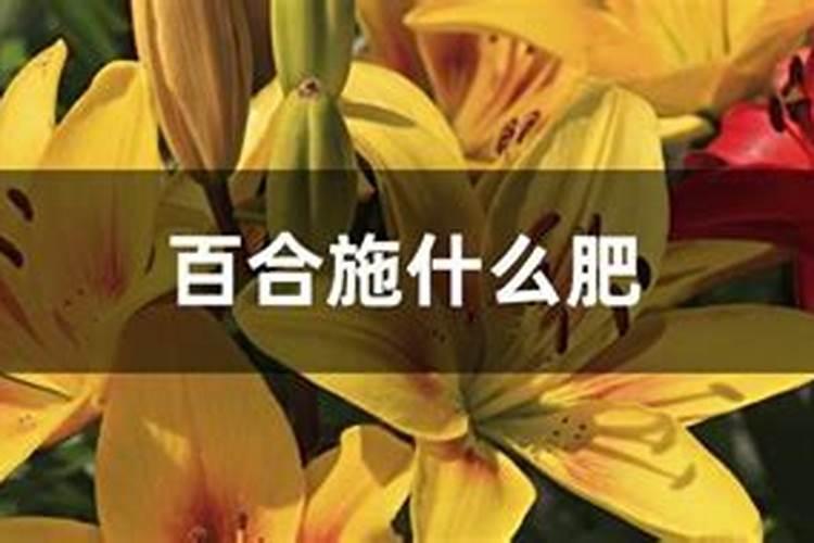 水溶肥的前十名水溶肥厂家有那些水溶肥的前十名