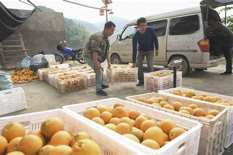 果树叶面肥喷施时间