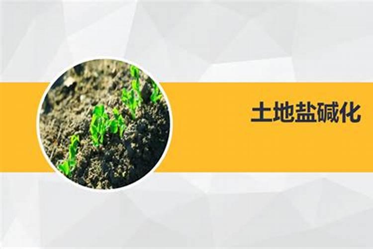 土地盐碱化的主要危害