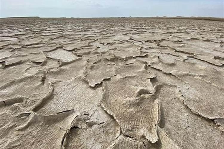 土地盐碱化的主要危害