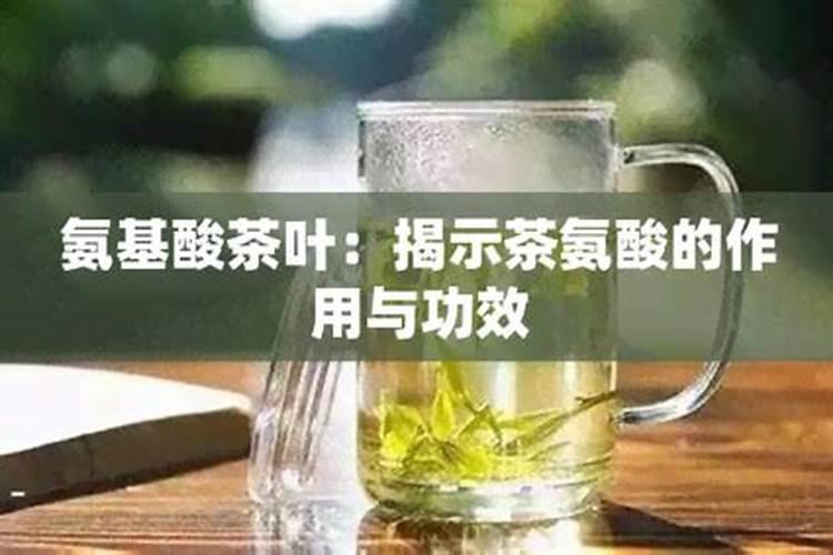 茶园施什么肥最好？