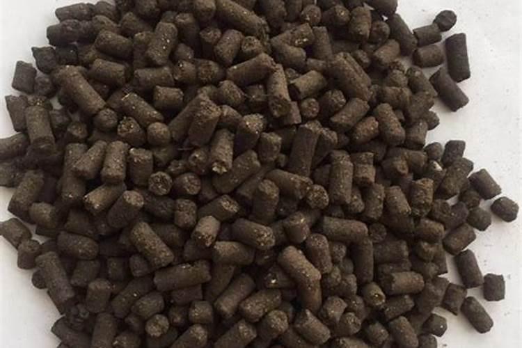 海藻肥一般都是什么海藻做的原料