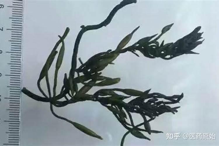 豆粕有机肥、海藻有机肥、腐植酸有机肥那个更好？区别是什么呢？