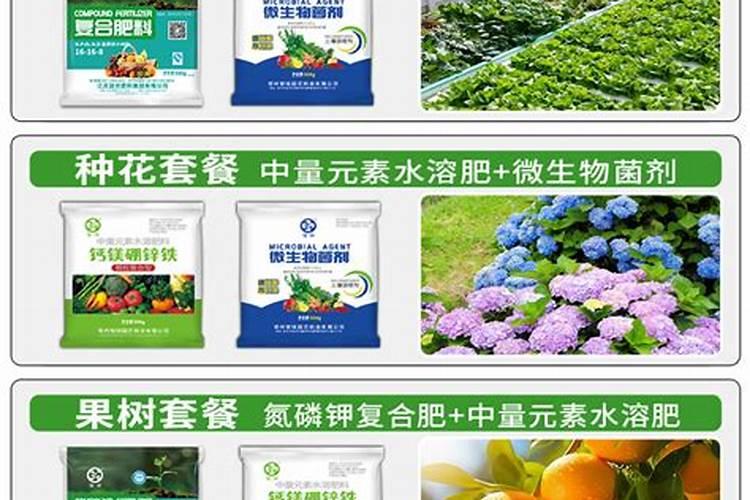 昆明水果特产有哪些