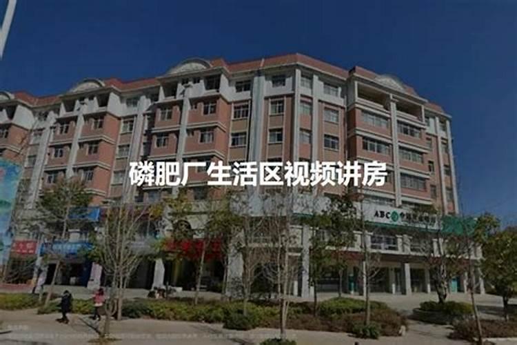 枇杷树几年结果？
