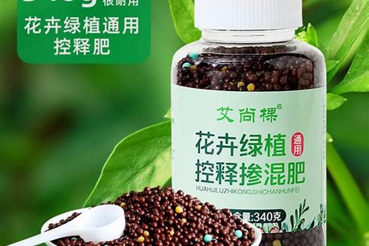 沃柑幼苗第一年修剪 沃柑怎么施肥