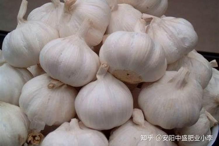 郑州帝益肥业生态保护工程股份有限公司怎么样？