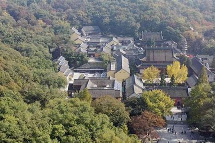 露地菜田土壤表层泛红是怎么回事怎样预防