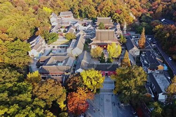 朱明钦主要经历