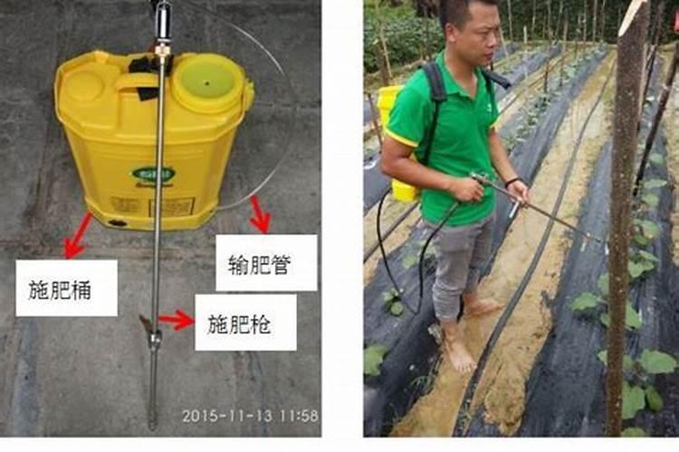 百香果施肥方案