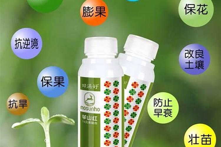 米兰开完花如何修剪开花越来越多