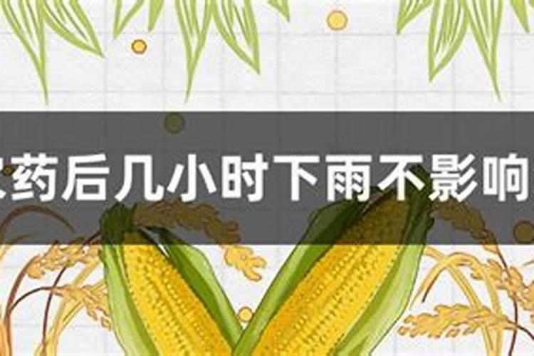 打个萘乙酸后各多长时间在打叶面肥
