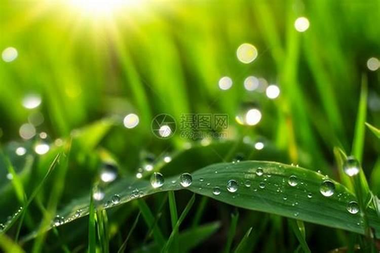 下完大雨就给辣椒冲肥行不？
