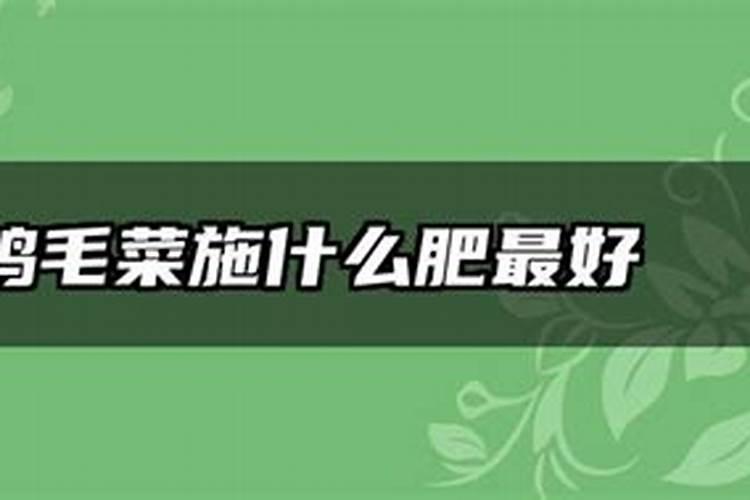 柑橘幼苗水溶肥的用量是多少？