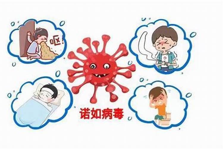 苹果树什么时候施肥好 如何给苹果树施肥