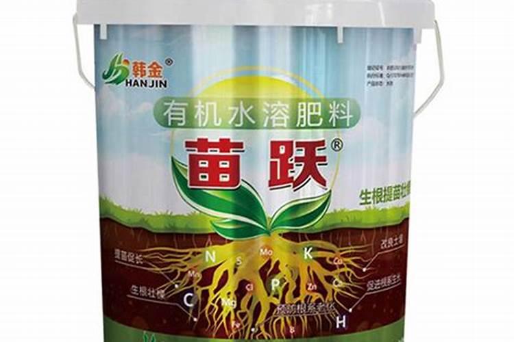 果树怎么施肥