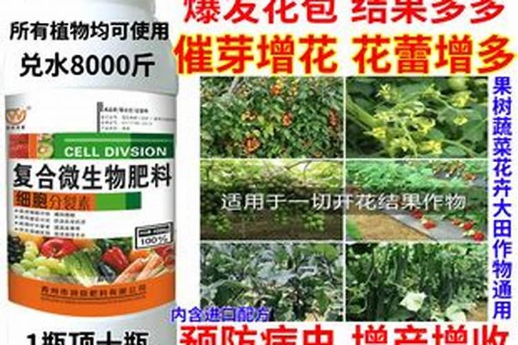 水溶肥什么牌子靠谱？