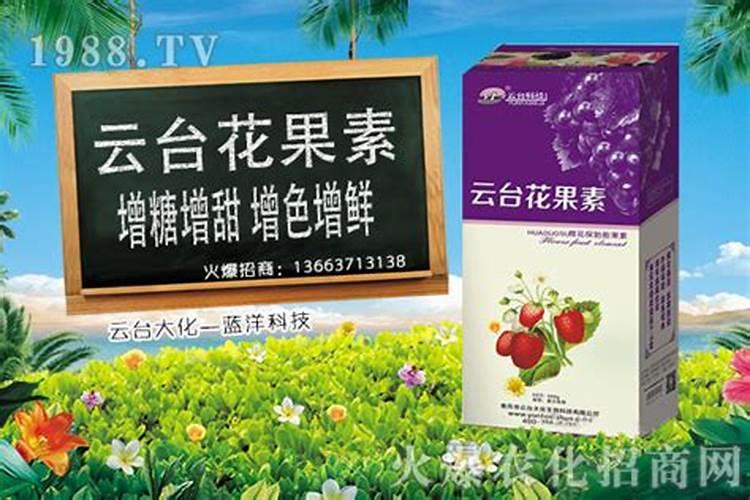 丁香花叶子发黄怎么办